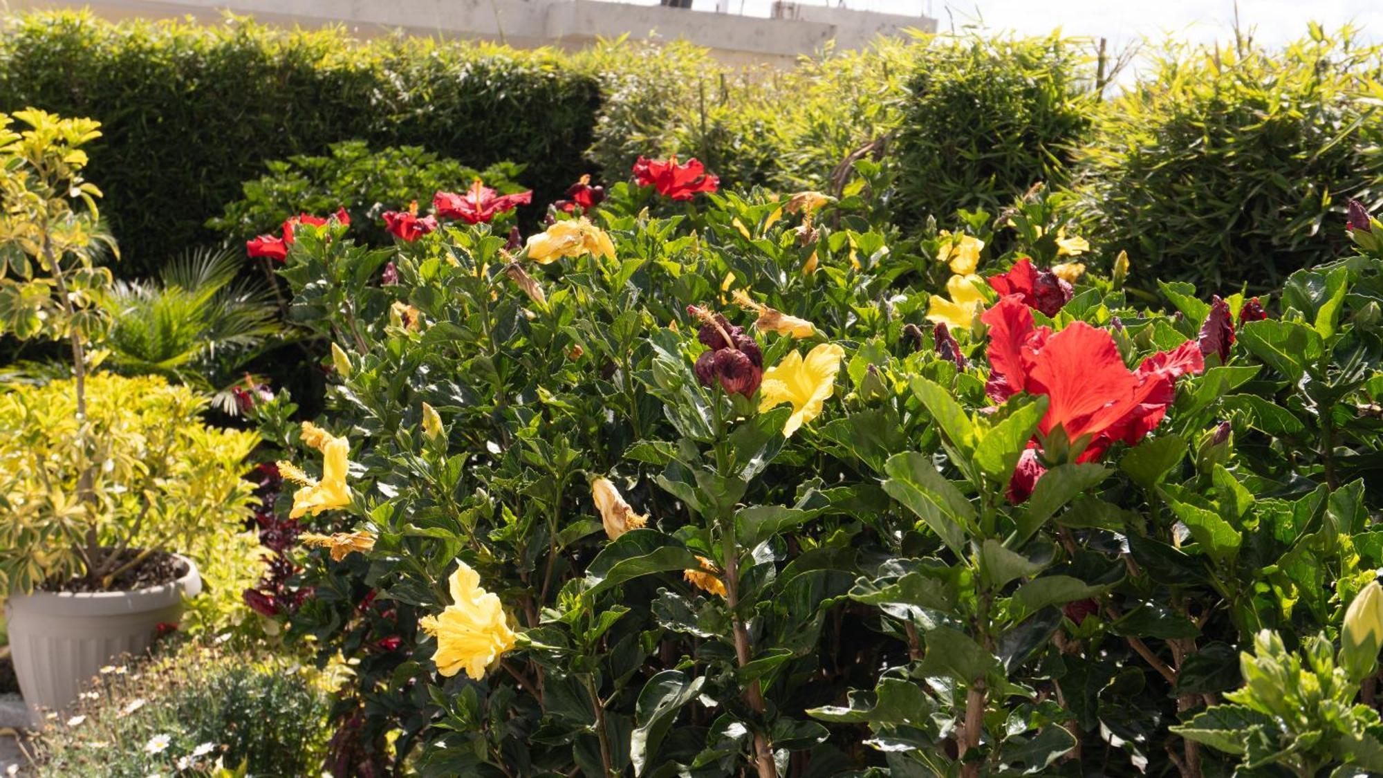Hospedaje El Girasol Tababela 基多 外观 照片